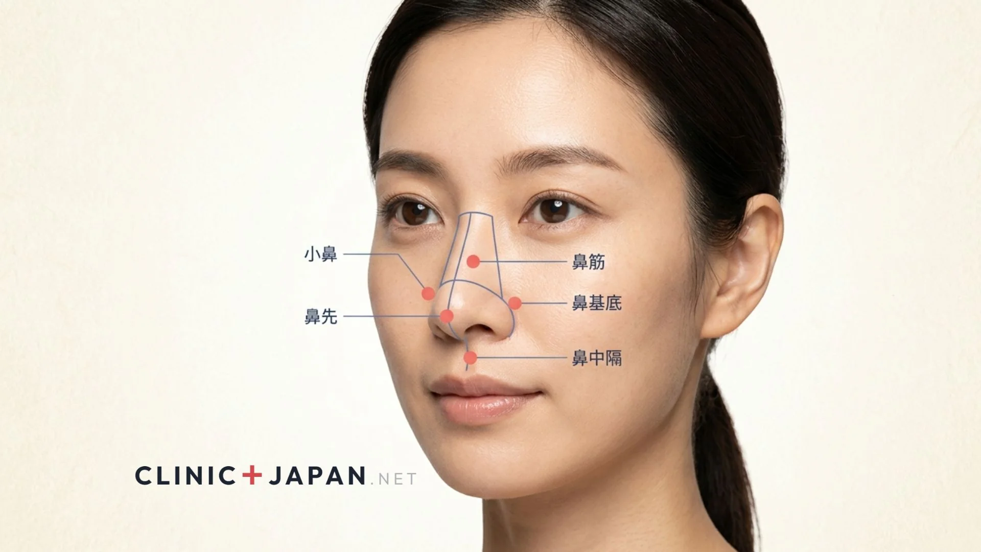 鼻整形 — 小鼻・鼻先・鼻筋・鼻基底の悩み別術式の全体像