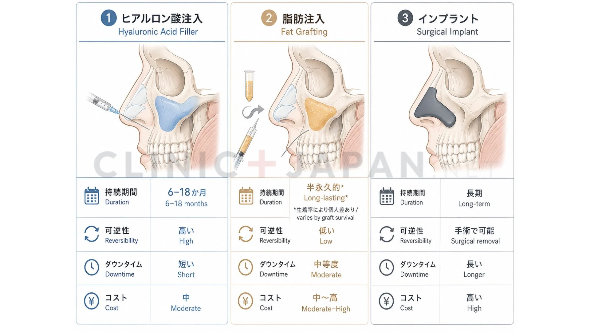 鼻翼基部ヒアル注入テクニック — 骨膜直上の深層注入とアプローチ経路
