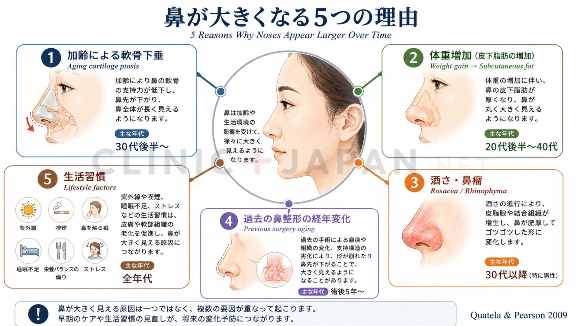 鼻が大きくなる5つの理由 — 解剖学的メカニズム