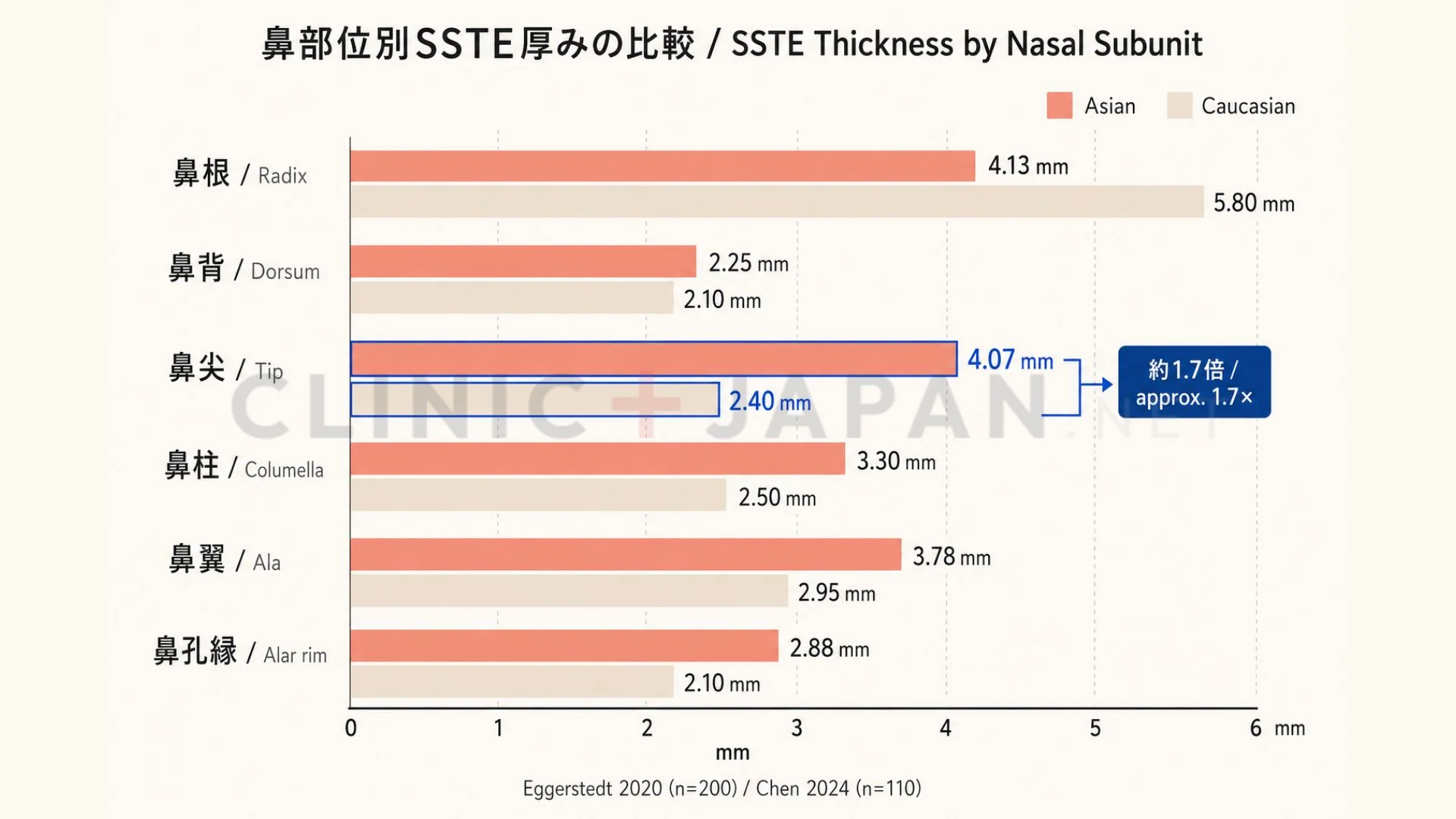 アジア人と白人の鼻部位別SSTE厚みの比較 — Eggerstedt 2020・Chen 2024の研究データ