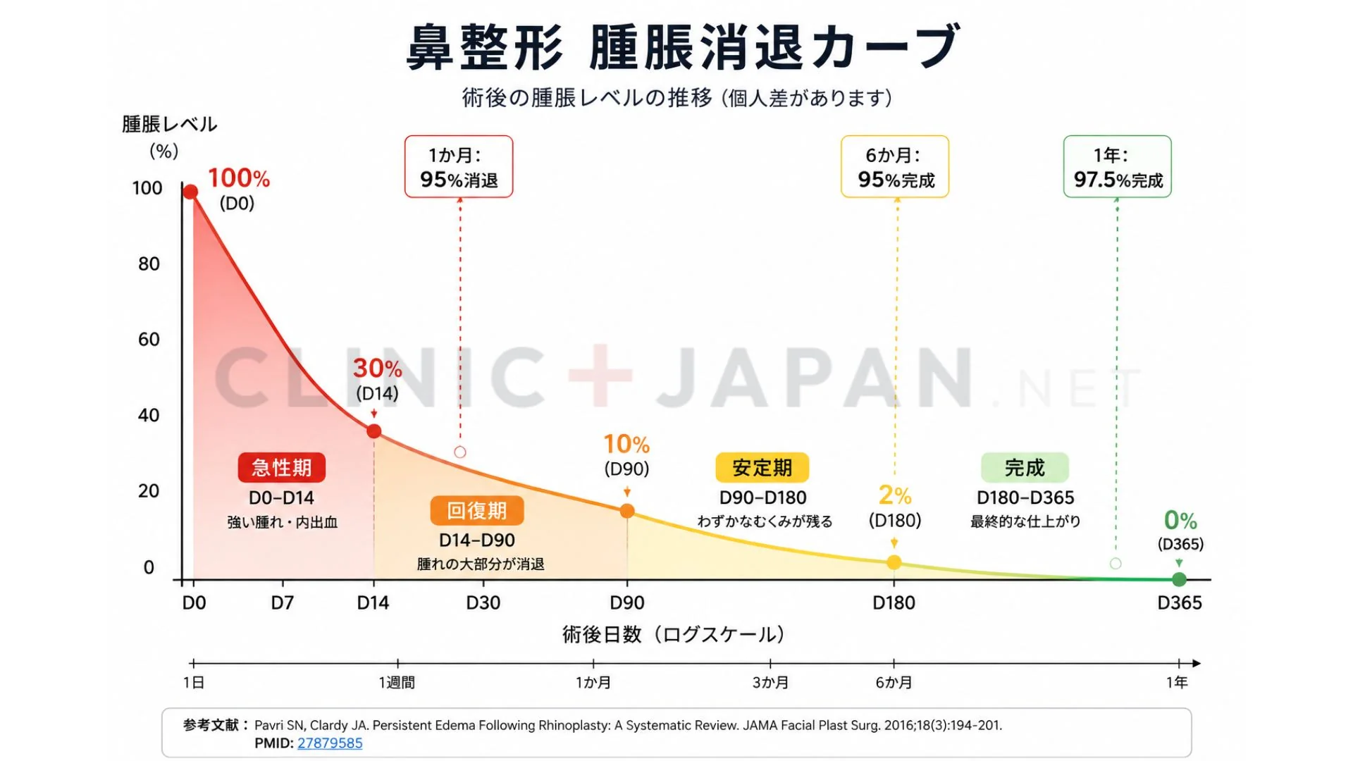 鼻整形 術後経過タイムライン — 急性期・回復期・安定期の3フェーズと腫れの引き方