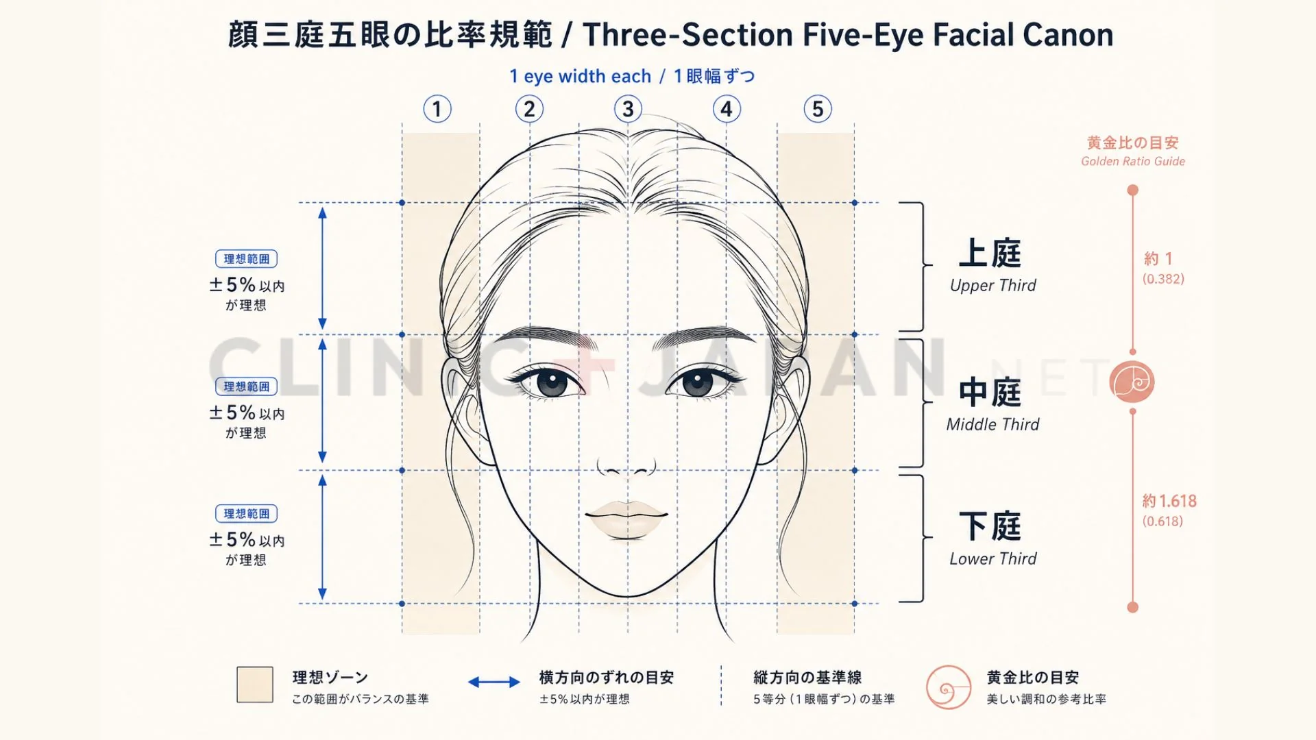顔三庭五眼の比率規範 — 顔全体の縦横バランスと自然な仕上がりの目安