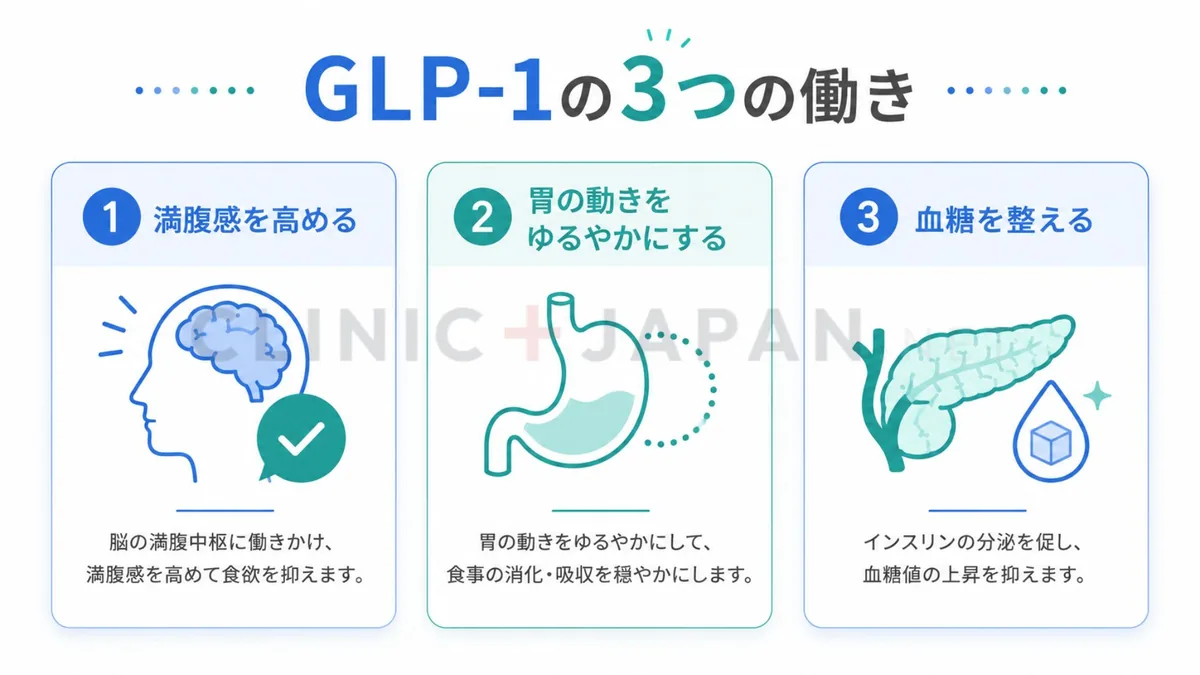 glp 1 ホルモン GLP-1とは？ホルモンの働き・受容体作動薬のしくみ・GIPとの違いを医学論文ベースで解説【2026年版】｜クリニックジャパン
