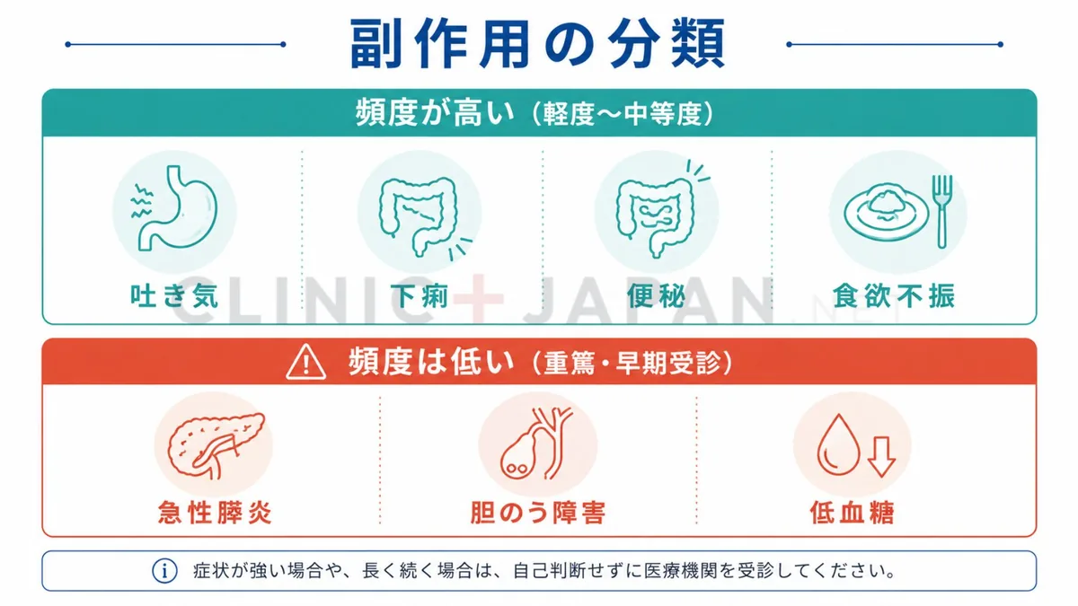 リベルサスの副作用を頻度の高い消化器症状と頻度は低い重篤な副作用に分類した図