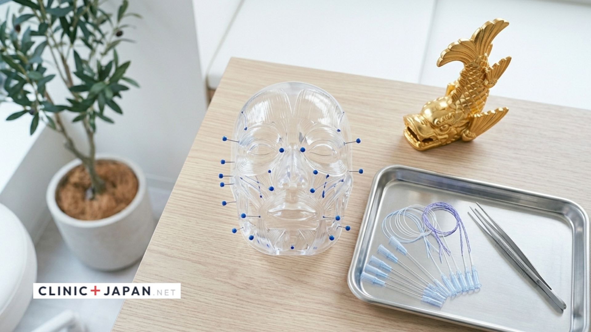 名古屋の糸リフトクリニックイメージ