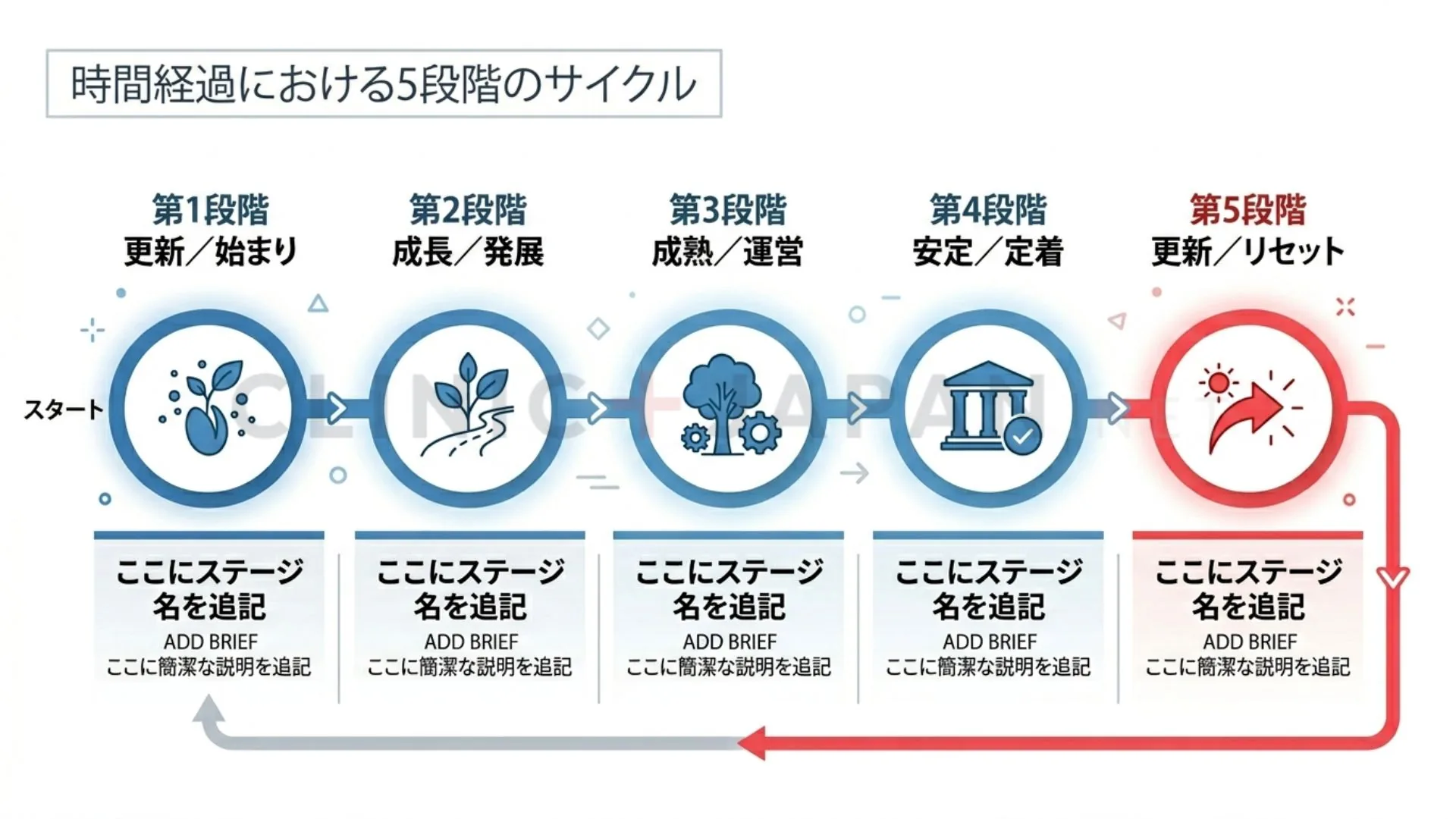 照射当日から1〜2週間後の抜け落ち、無毛期間、生え戻りまでの1サイクルを示したタイムライン図