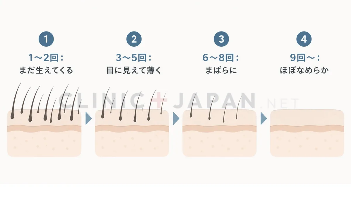 回数別の毛量の変化のイメージ図