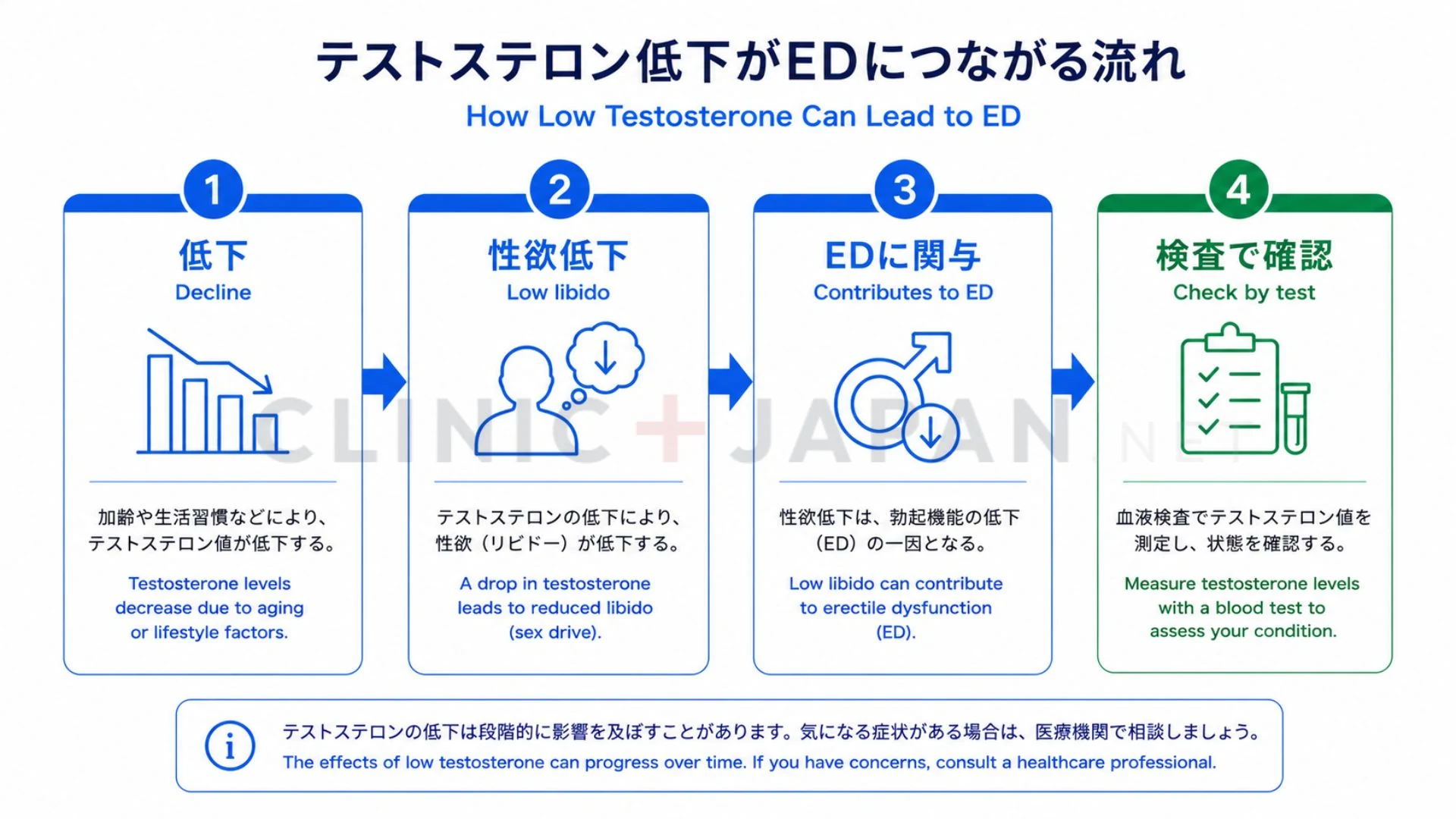 テストステロンの低下とEDの関係を、性機能・心身のサインとあわせて整理した図