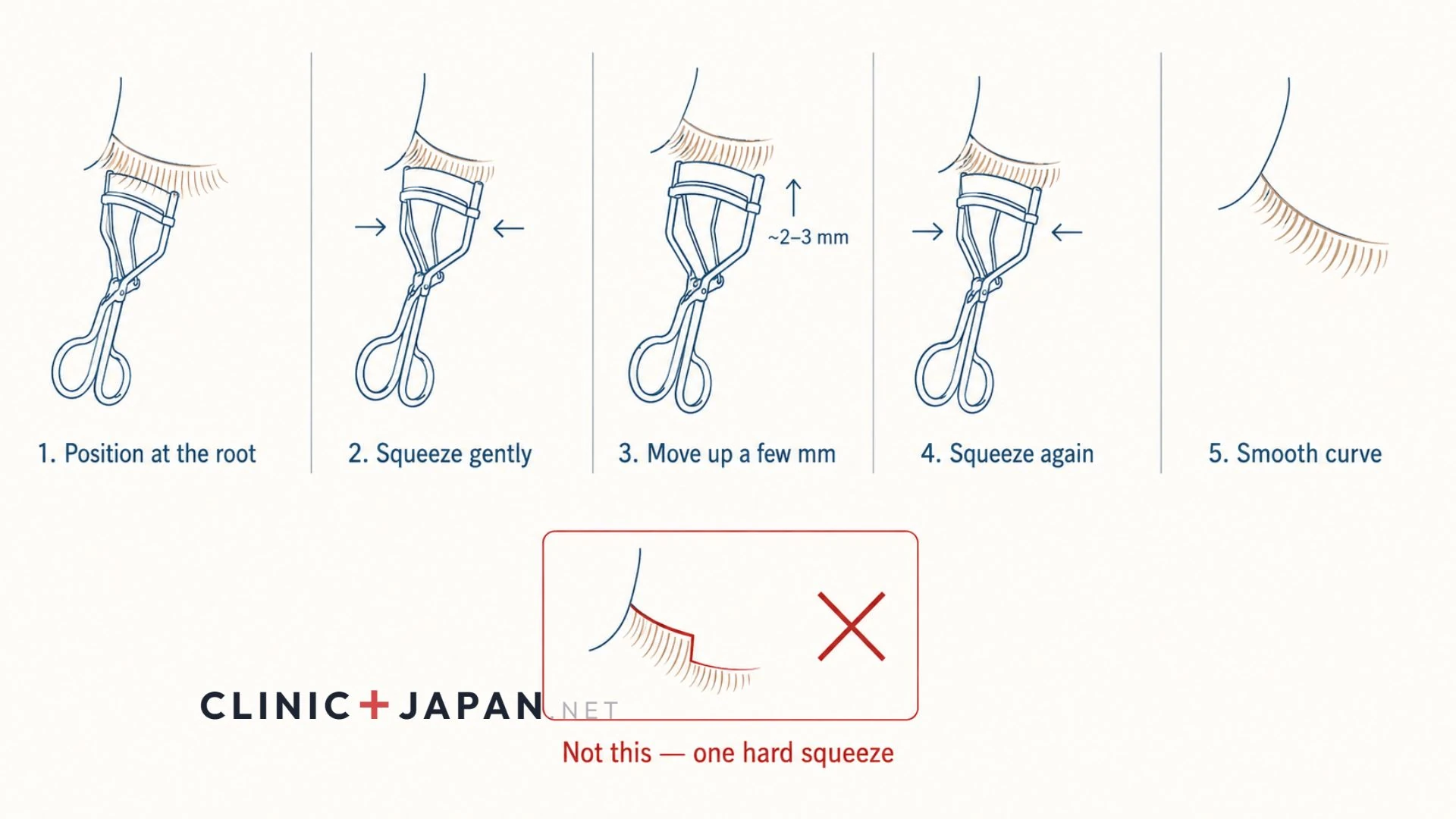 Five-step illustrated sequence showing an eyelash curler positioned at the lash root, a gentle squeeze, then walking the curler outward along the lash in stages